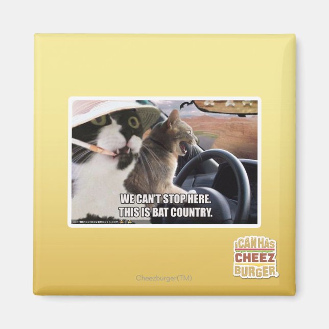 Fladdermus land magnet (Framsidan)