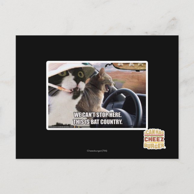 Fladdermus land vykort (Framsida)