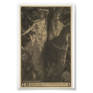 Fladdermus och Uggla Fototryck