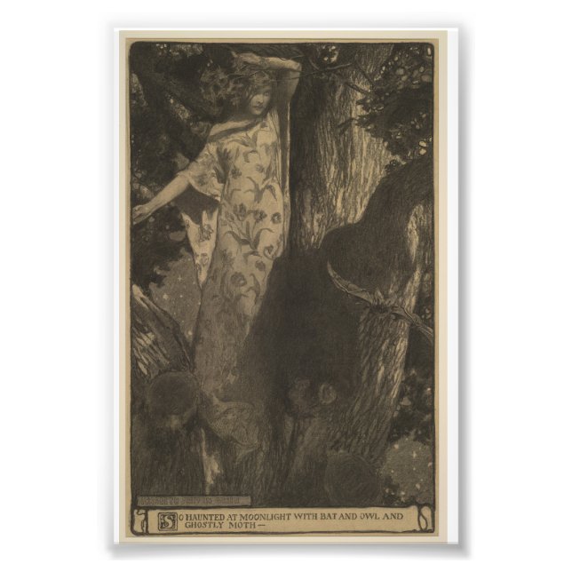 Fladdermus och Uggla Fototryck (Framsidan)