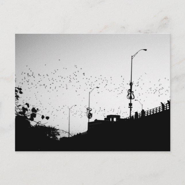 Fladdermus över Austin Vykort (Framsida)