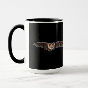 Fladdermus Pipistrellus pipistrellus Illustration  Mugg