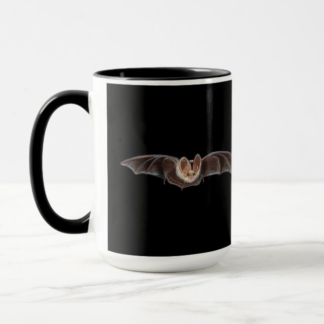 Fladdermus Pipistrellus pipistrellus Illustration  Mugg (Vänster)