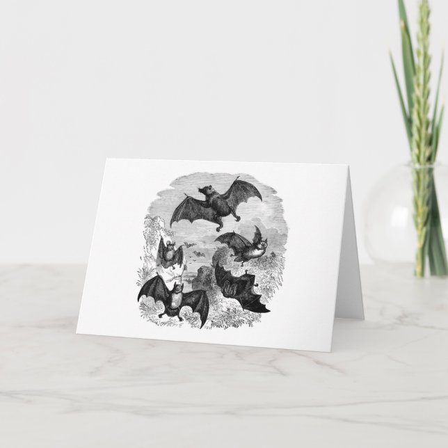 Fladdermus Sketch Kort (Framsida)