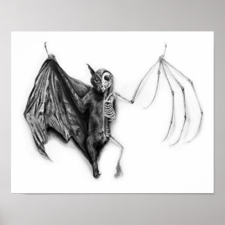 Fladdermus Specimen Poster