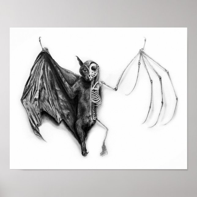Fladdermus Specimen Poster (Framsidan)