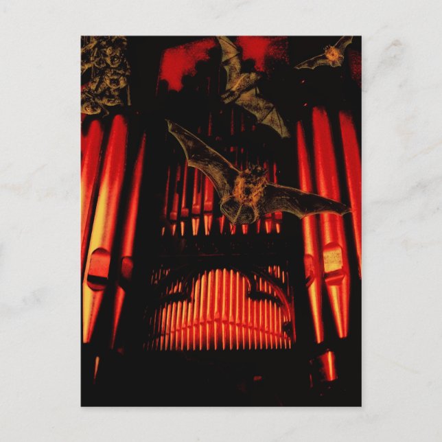 Fladdermus Vykort (Framsida)