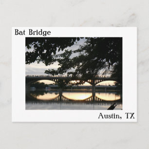 Fladdermusbron i Austin, Texas vykort