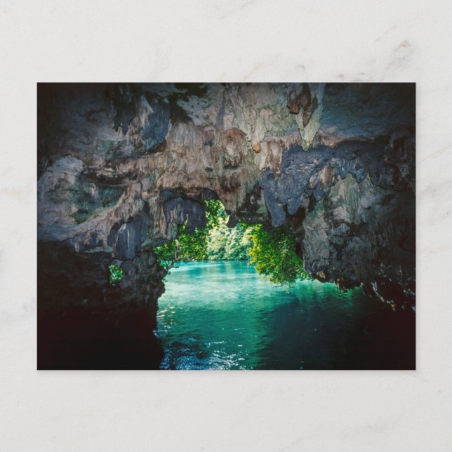Fladdermusgrotta i Airai, Palau, Mikronesien Vykort (Framsida)