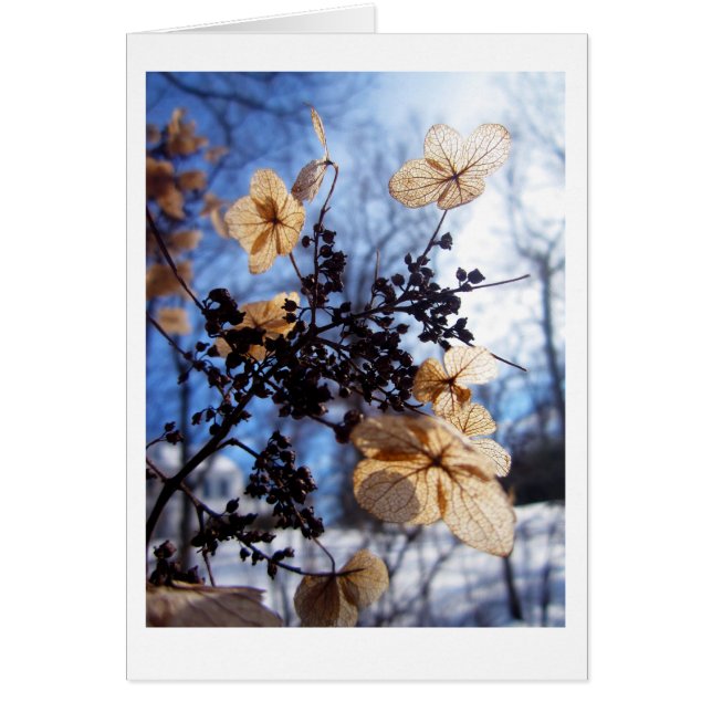 Fladdrande Hälsningskort (Framsidan)