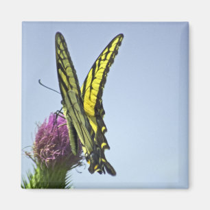 Fladdrande Magnet