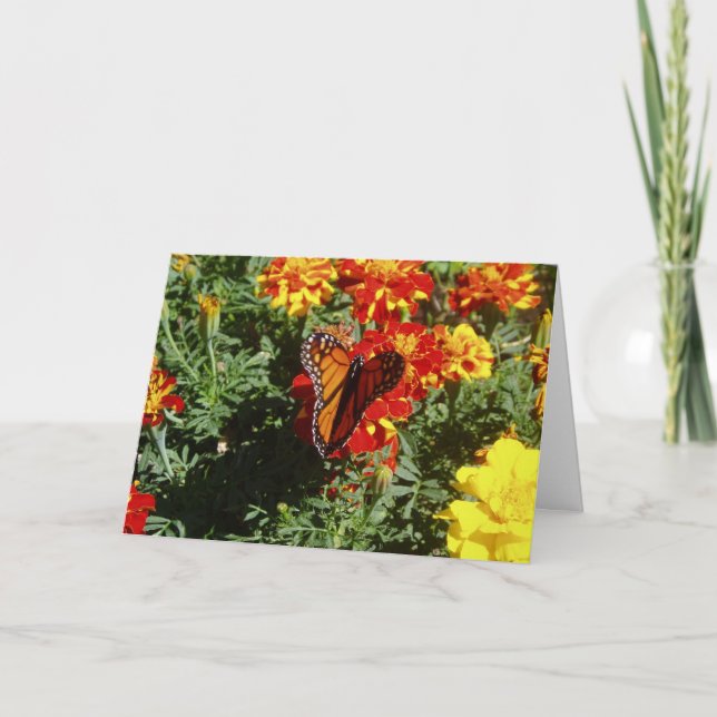 "Fladdrande" Snart Frisk Kort (Framsida)