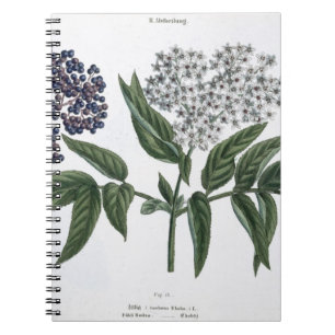 Fläder Fig. 13 från "den unga landsmanen", Anteckningsbok Med Spiral