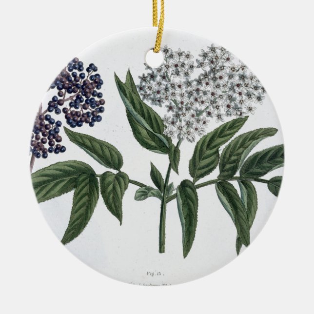 Fläder Fig. 13 från "den unga landsmanen", Julgransprydnad Keramik (Framsidan)