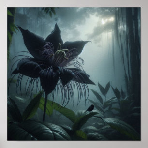 Fläderblomma Bland Sällsynta Tropiska Växter Poster