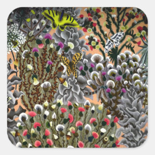 Fläderblommor ger illustration av vintagens natur fyrkantigt klistermärke