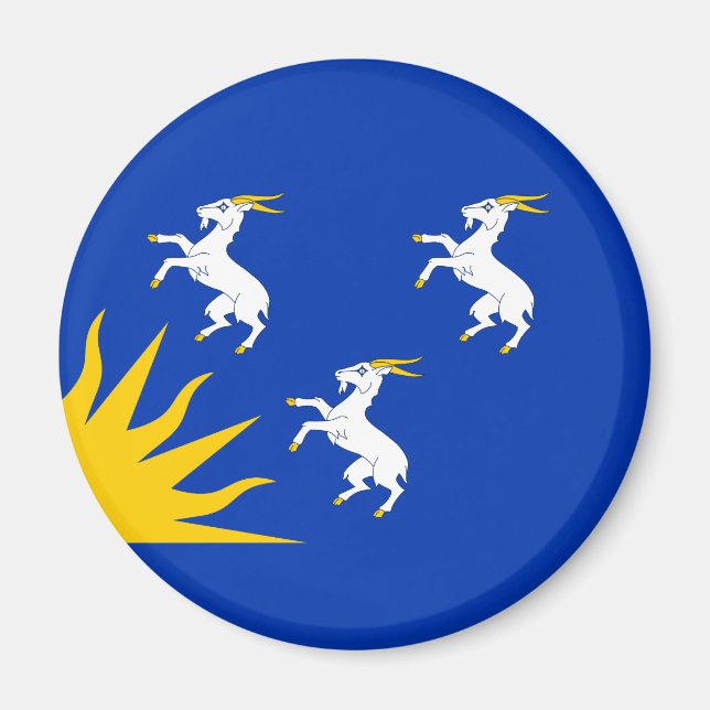 Flag of Merionethshire Magnet (Framsidan)