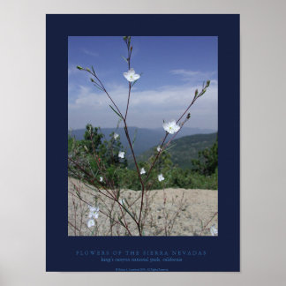 FLÄgare till Sierran Nevadas Poster