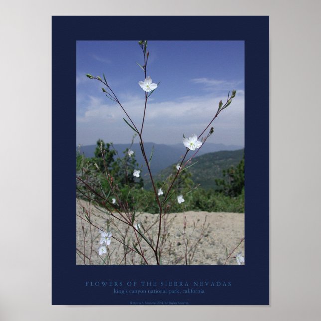 FLÄgare till Sierran Nevadas Poster (Framsidan)