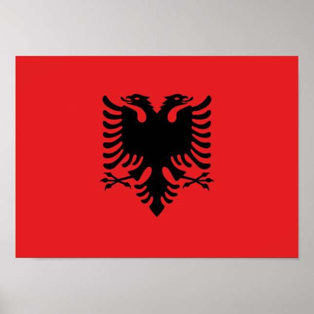 Flagga Albanien - Flamuri Kombëtar - Albanska Flag Poster (Framsidan)