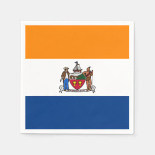 Flagga Albany, New York Pappersservett
