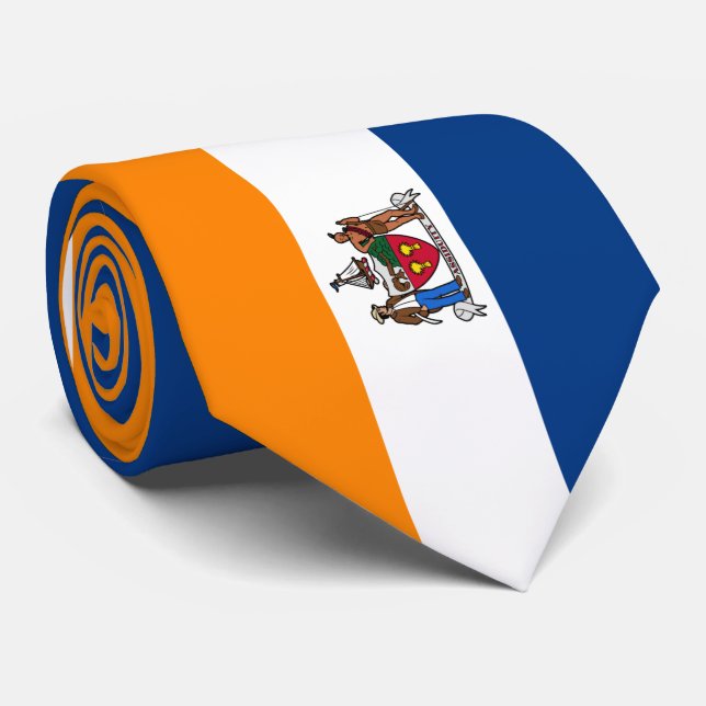 Flagga Albany (New York) Slips (Rullad)