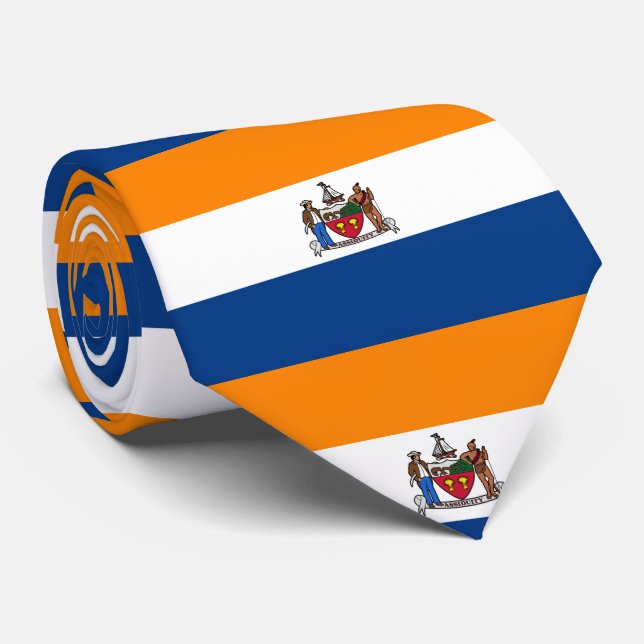 Flagga Albany, New York Slips (Rullad)