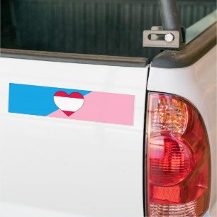 Flagga Åldersuppspelning, Pride Bildekal