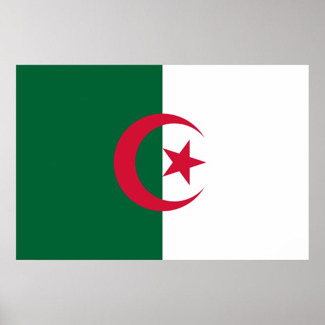 Flagga Algeriet Poster (Framsidan)