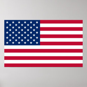 Flagga Amerikanska land resa Poster