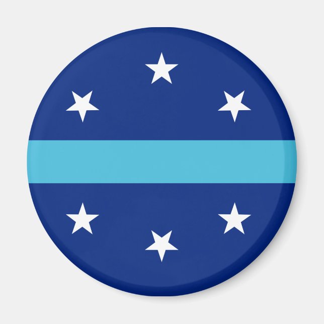 Flagga Anaheim, Kalifornien Magnet (Framsidan)