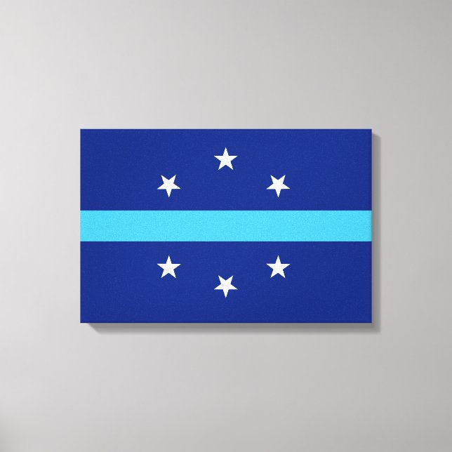 Flagga Anaheim (Kalifornien, USA) Canvastryck (Framsida)