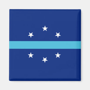 Flagga Anaheim (Kalifornien, USA) Magnet