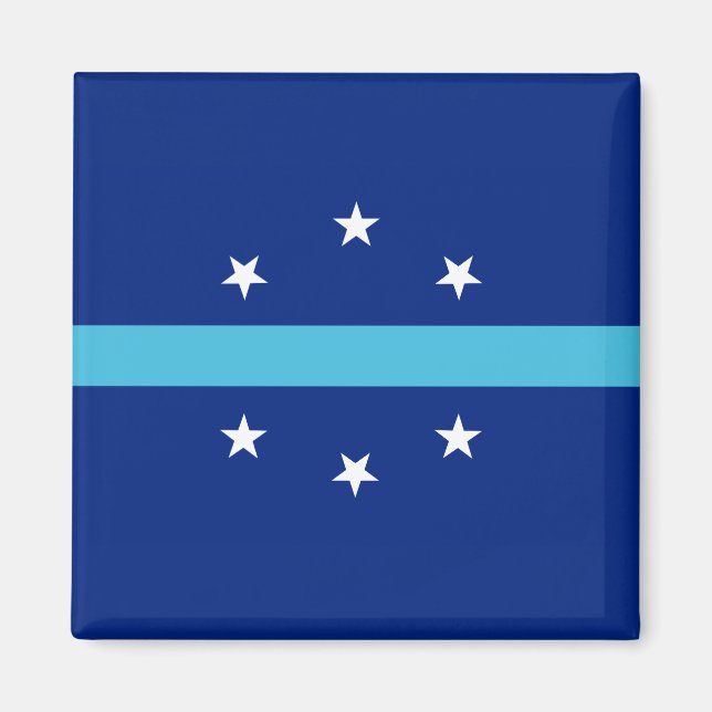 Flagga Anaheim (Kalifornien, USA) Magnet (Framsidan)