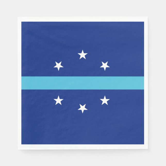 Flagga Anaheim (Kalifornien, USA) Pappersservett (Framsidan)