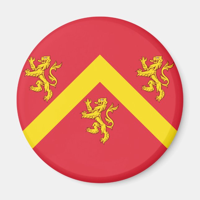 Flagga Anglesey Magnet (Framsidan)