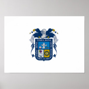 Flagga av Aguascalientes Poster