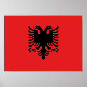 Flagga av Albanien - Flamuri Kombëtar - albansk Poster