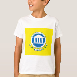 Flagga av Arlington (Virginia) T Shirt