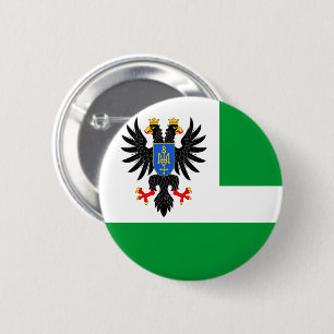 Flagga av Chernihiv Oblast Knapp