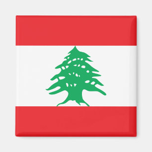 Flagga av den Libanon magneten Magnet