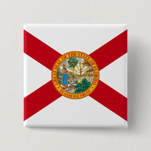 Flagga av Florida Knapp