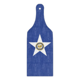 Flagga av Houston, av glasspadlar