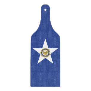 Flagga av Houston, av glasspadlar