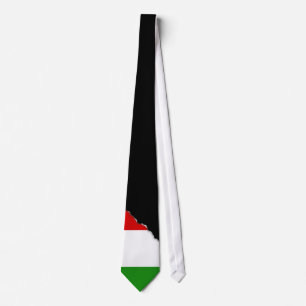 Flagga av italien slips