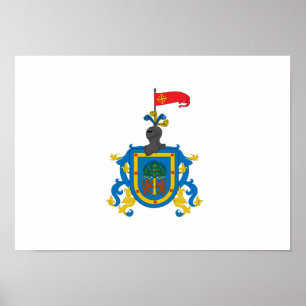 Flagga av Jalisco (heraldiken) Poster