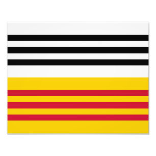 Flagga av Loon op Zand Fototryck