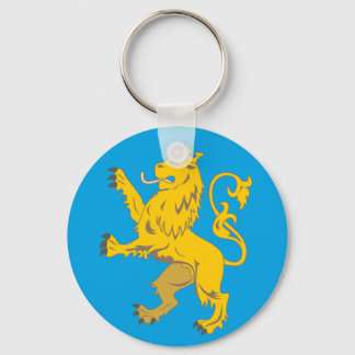 Flagga av Lviv Oblast Nyckelring