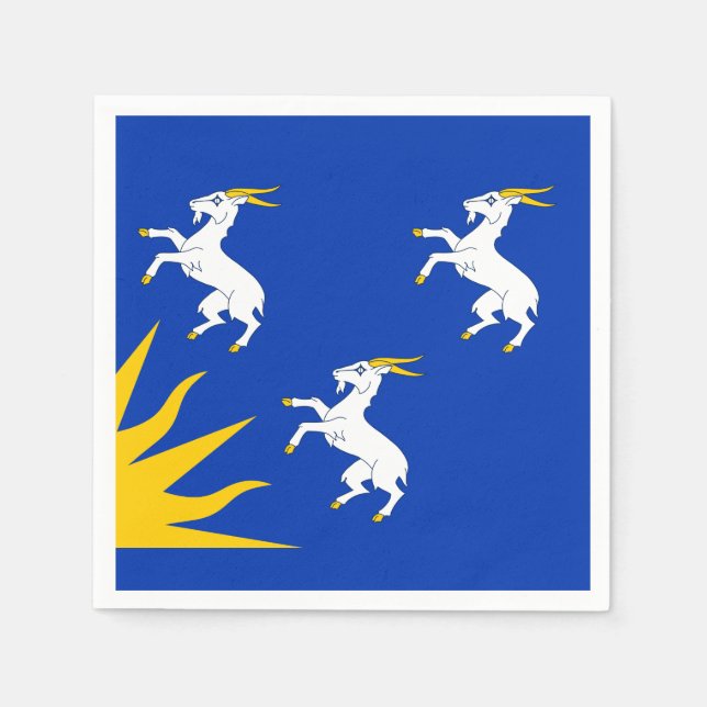 Flagga av Merionethshire Papper Napkins Pappersservett (Framsidan)