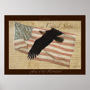 FLAGGA AV MIN HOMELAND ~Örn US Flagga Poster